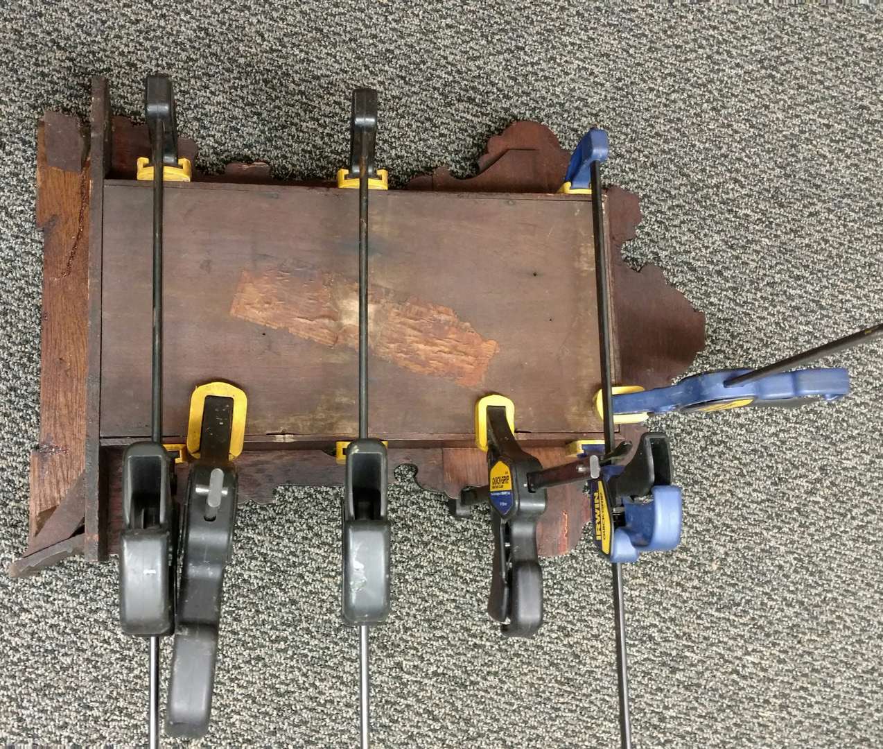 The clock case in the glue-up — freshly re-glued joints held square under a row of bar and spring clamps